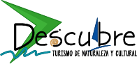 Descubre