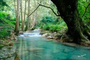 SIERRA Y HUASTECA 03